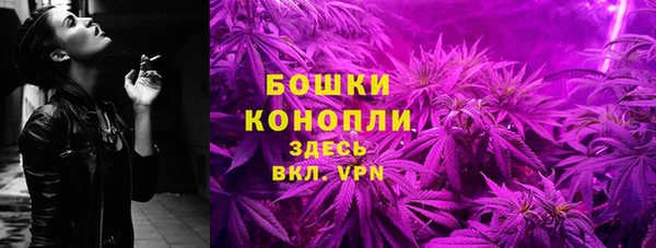 a pvp Белокуриха